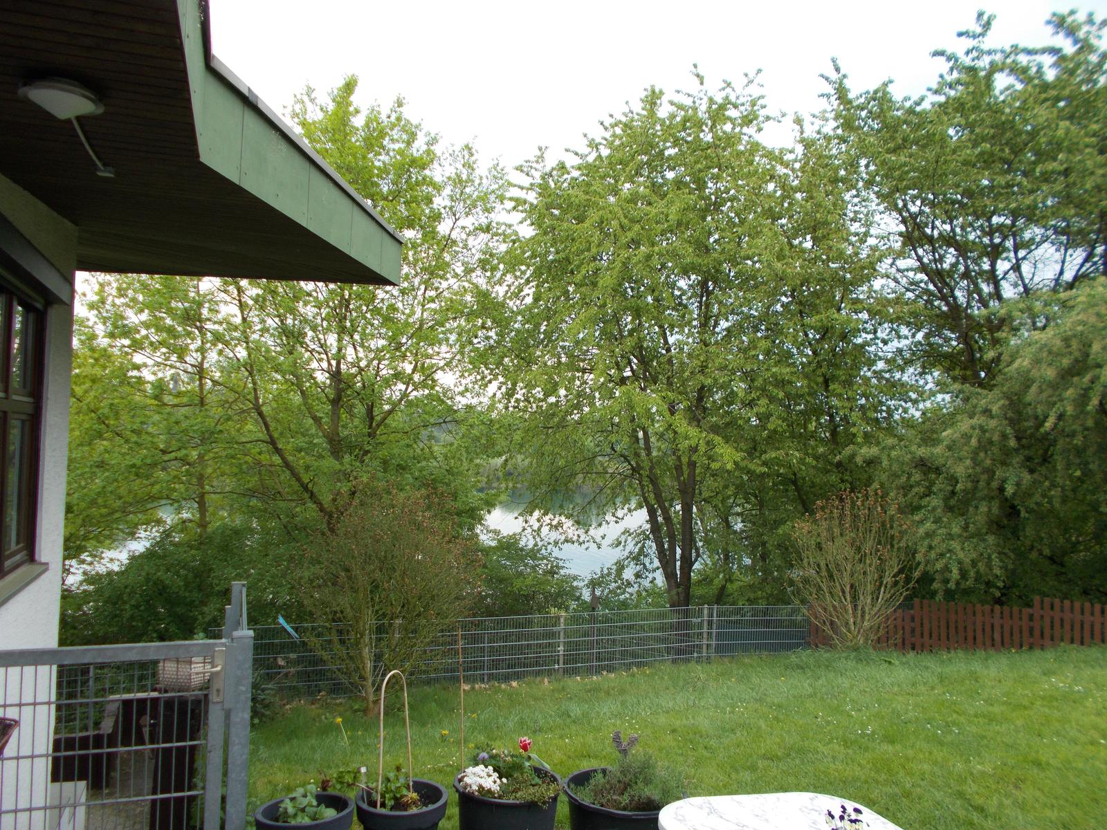 Garten am Vereinsheim