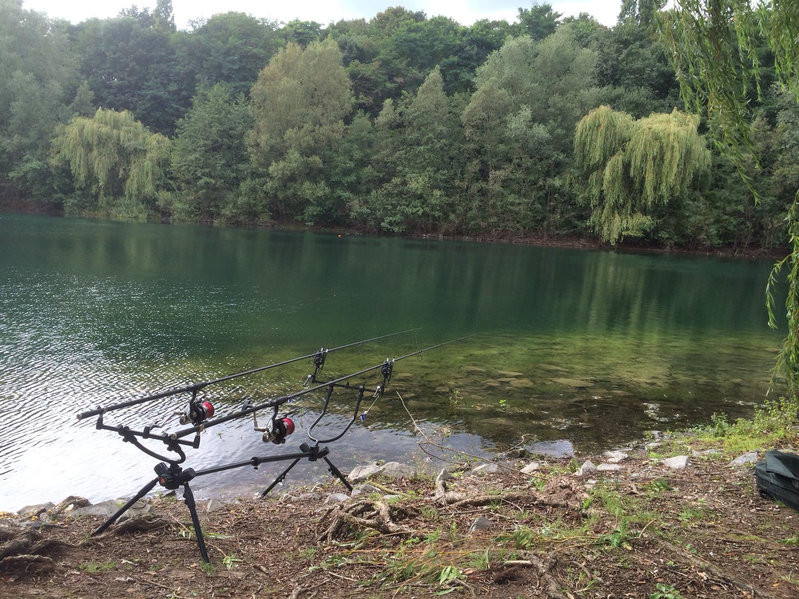 Karpfenruten am Ufer