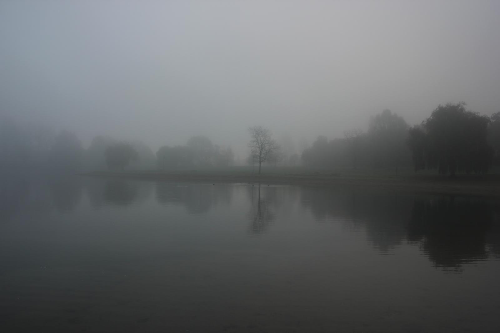Nebel über dem See